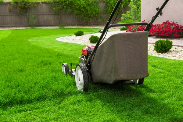 Home Yard Maintenance in Southport