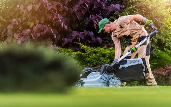 Lawn Care And Maintenance in Southport