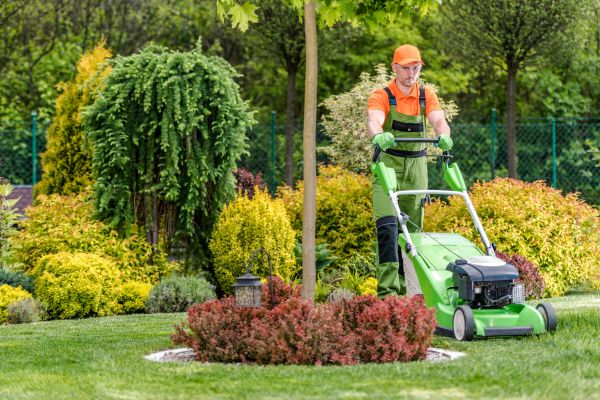 Yard Service in Southport