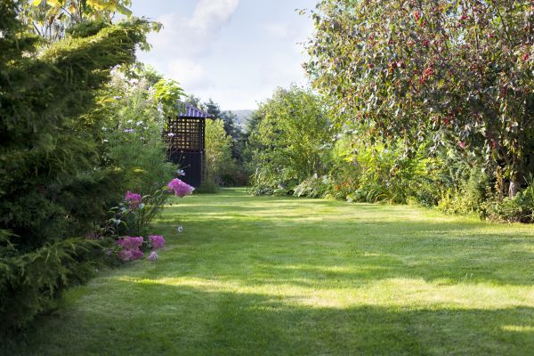 Cost of Yard Upkeep Service in Southport