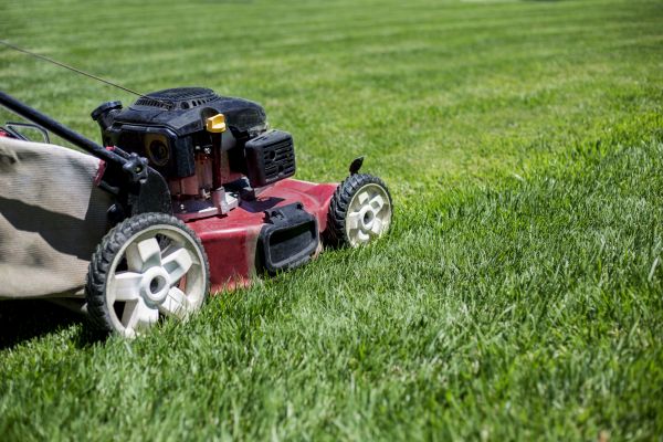 Cost of Routine Lawn Care in Southport