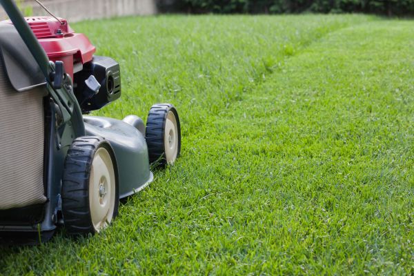 Cost of Summer Lawn Care in Southport