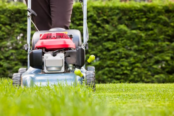 Grass Trimming Service in Southport