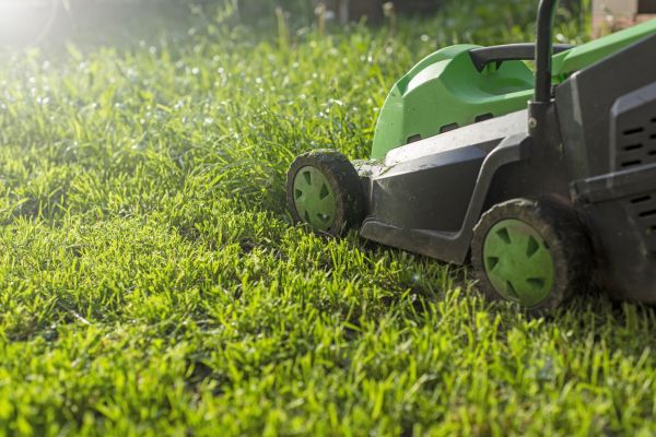 Cost of Yard Trimming in Southport