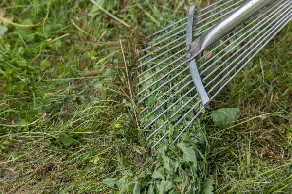 Thatch Raking in Southport