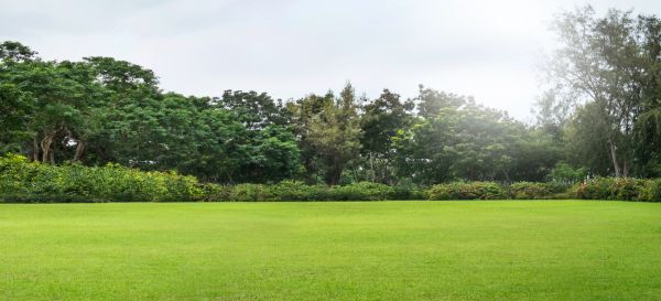 Golf Course Mowing in Southport