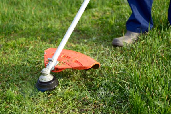 Lawn Weed Whacking in Southport