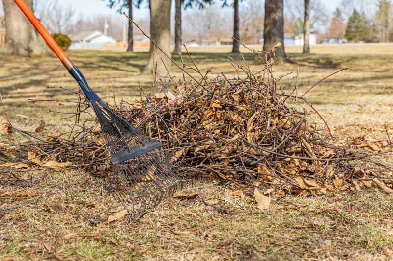 Leaf-Free Yard
