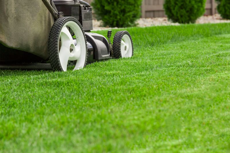 Commercial Lawn Care detail